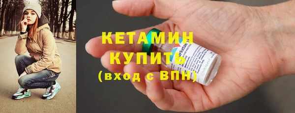 шишки Новозыбков