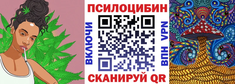 Галлюциногенные грибы Cubensis  Красновишерск 
